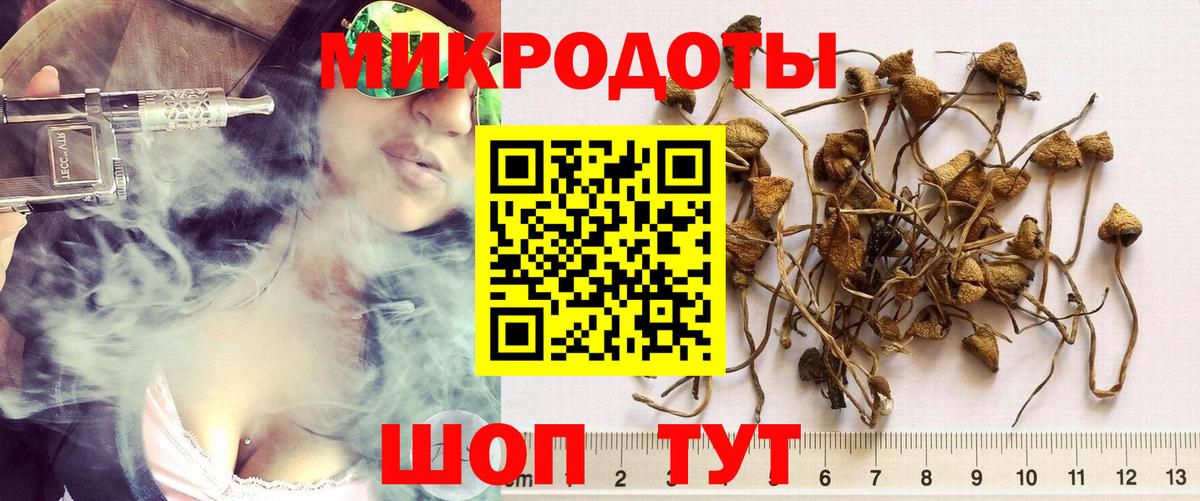 Галлюциногенные грибы мицелий  Галлюциногенные грибы прущие грибы  Богородск  Вход с VPN 