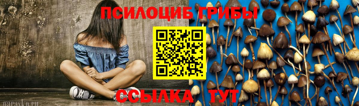 Галлюциногенные грибы GOLDEN TEACHER Богородск